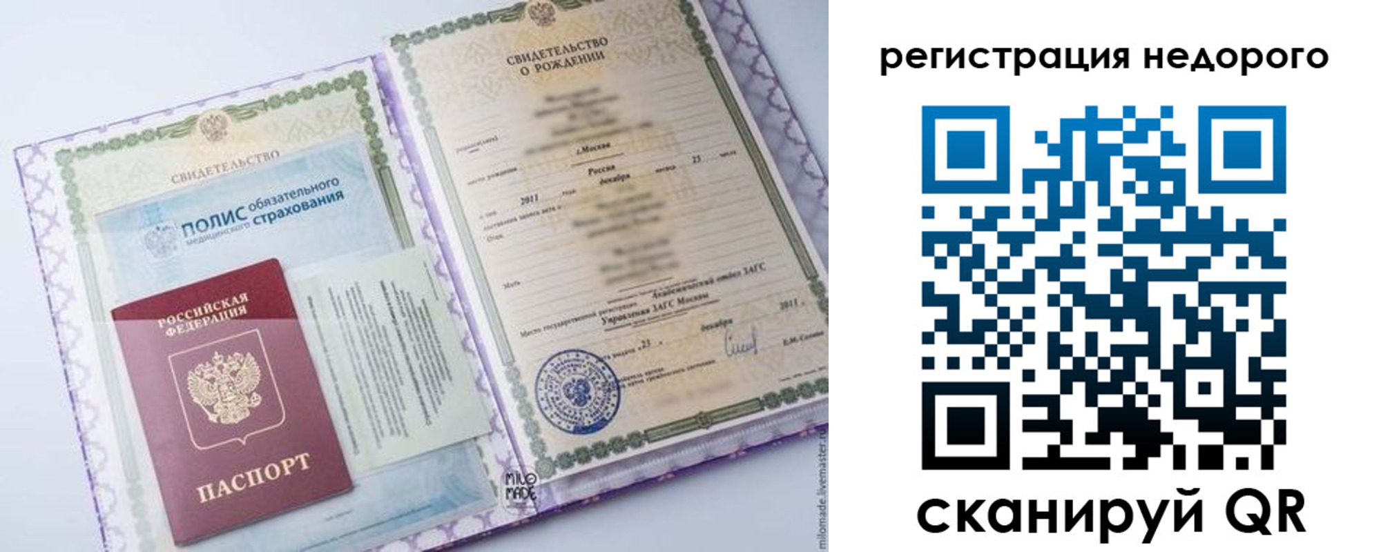 прописка ребенка в Бородино